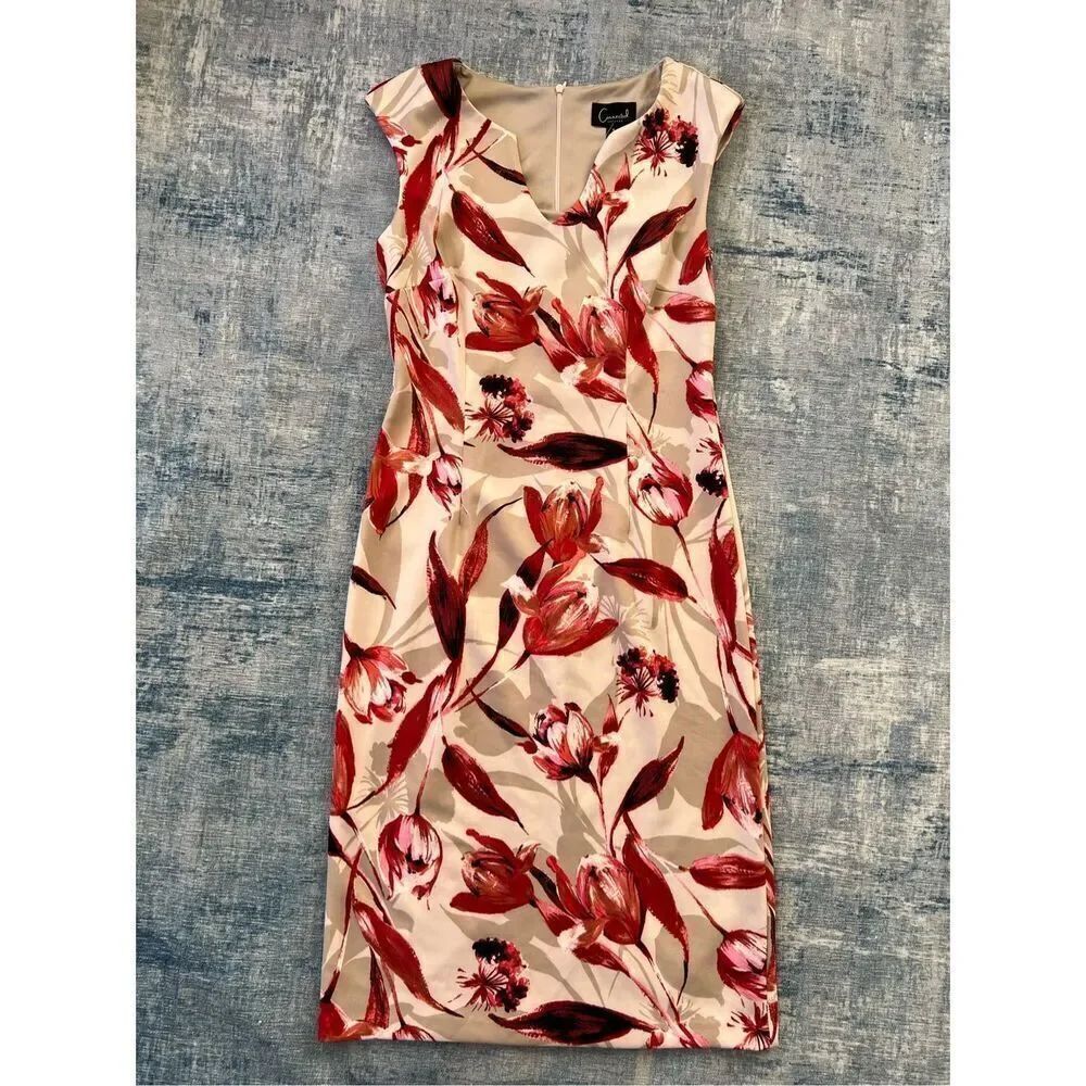 Connected Apparel Off White Taupe Red Floral Sleeveless Dress Size 4